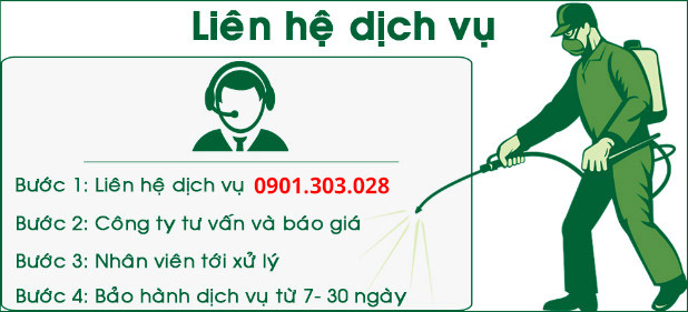 dịch vụ phun thuốc khử trùng