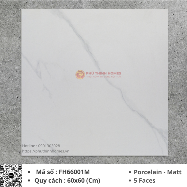 Gạch ốp lát 60x60 Hoàng Gia FH66001M Porcelain men Matt