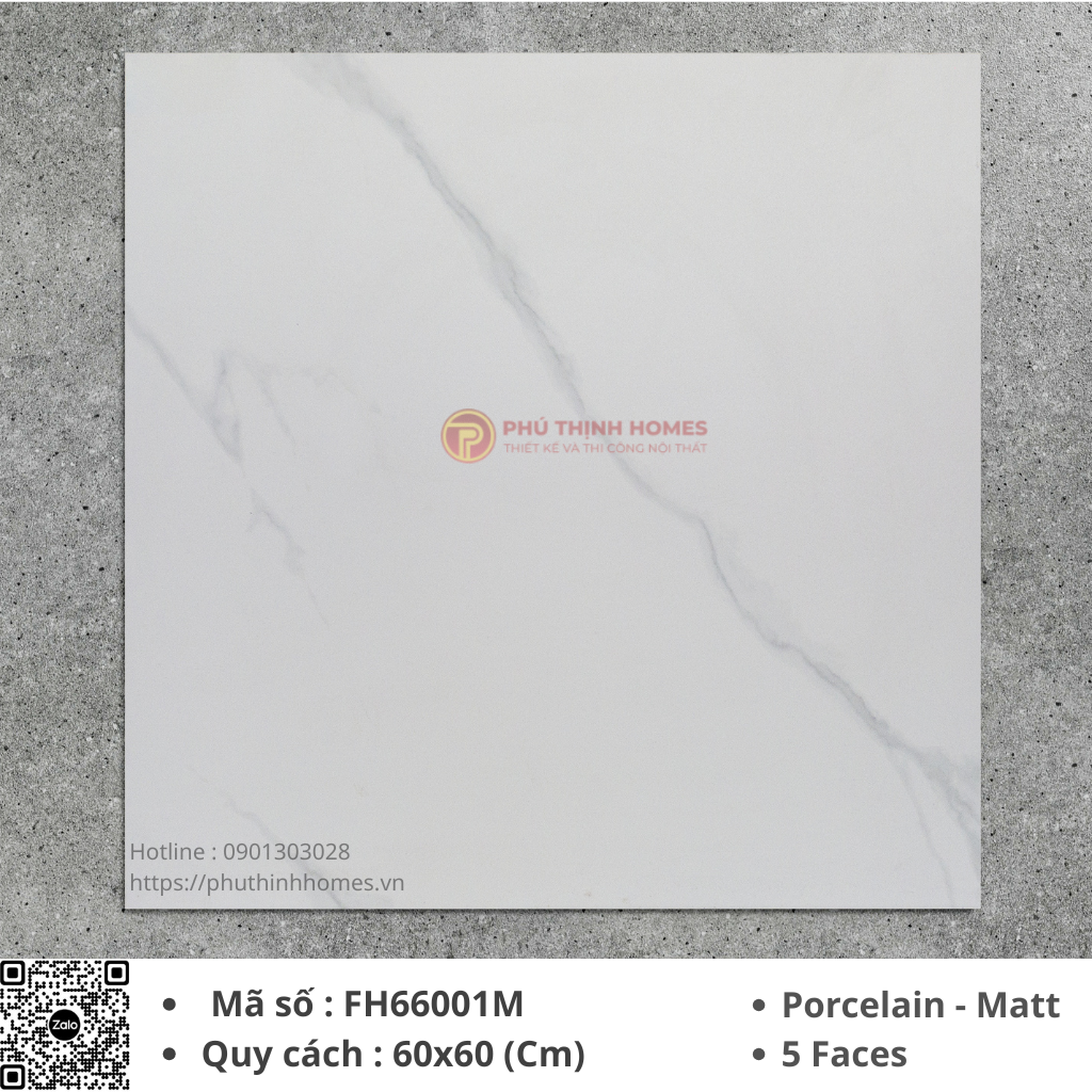 Gạch ốp lát 60x60 Hoàng Gia FH66001M Porcelain men Matt