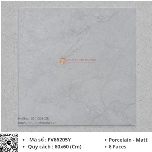 Gạch ốp lát 60x60 Việt Ý FV66205Y Porcelain men Matt