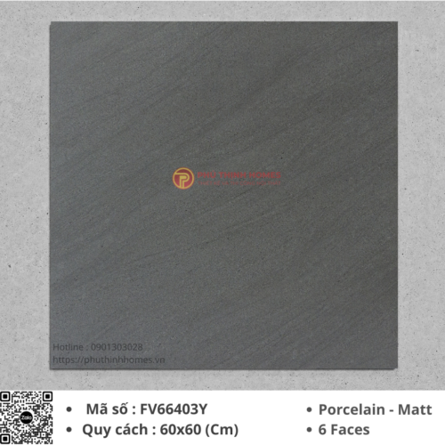 Gạch ốp lát 60x60 Việt Ý FV66403Y Porcelain men Matt