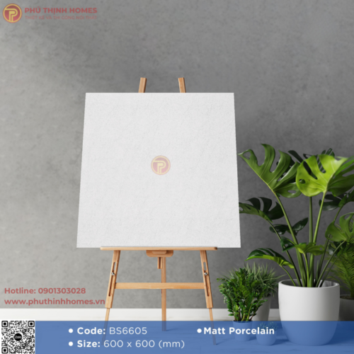 Gạch Ốp Lát 60x60 Viglacera BS6605 Men Matt