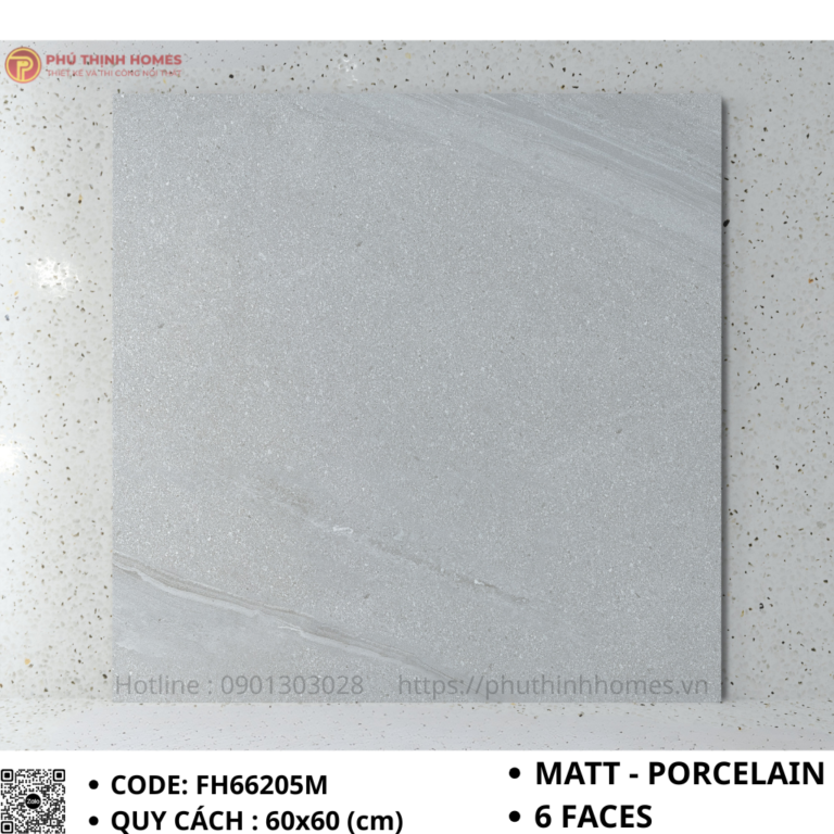 Gạch ốp lát 60x60 Hoàng Gia FH66205M Porcelain men Matt