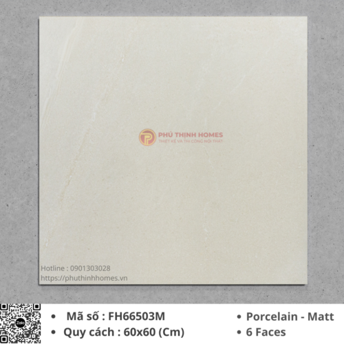 Gạch ốp lát 60x60 Hoàng Gia FH66503M Porcelain men Matt