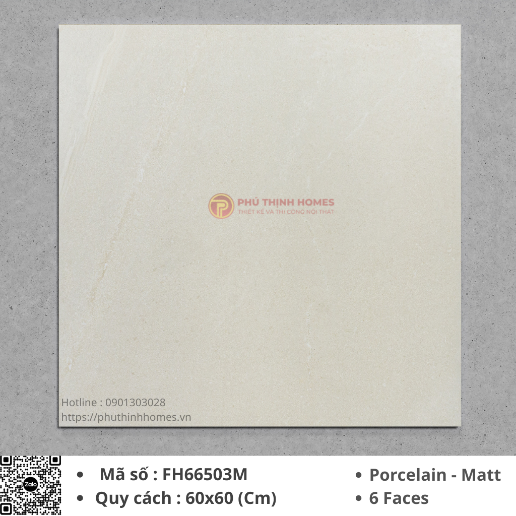 Gạch ốp lát 60x60 Hoàng Gia FH66503M Porcelain men Matt