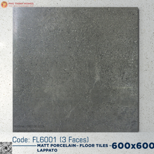 Gạch ốp lát 60x60 Hoàng Gia FL6001 Porcelain men Matt