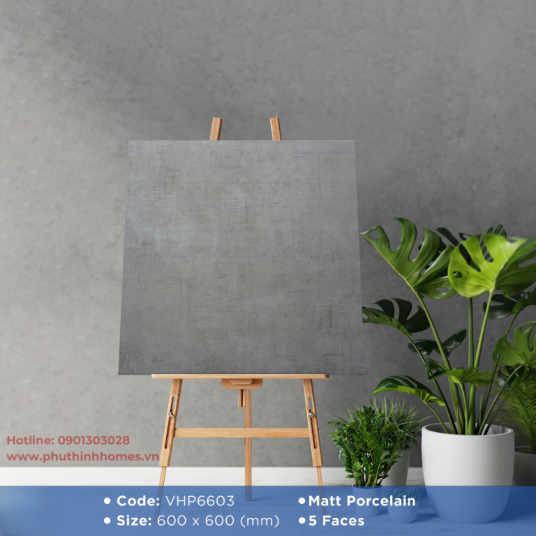 Gạch Viglacera 60x60 VHP6603 bề mặt mờ