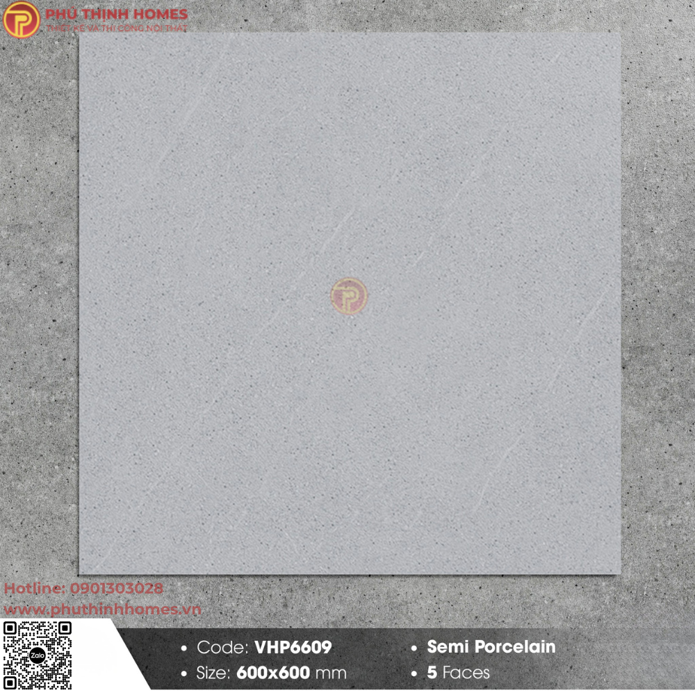 Gạch Viglacera 60x60 VHP6609 bề mặt mờ