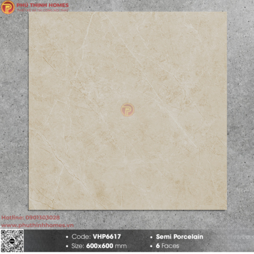 Gạch Viglacera 60x60 VHP6617 bề mặt mờ